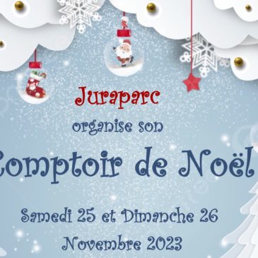 Notre Comptoir de Noël 2023